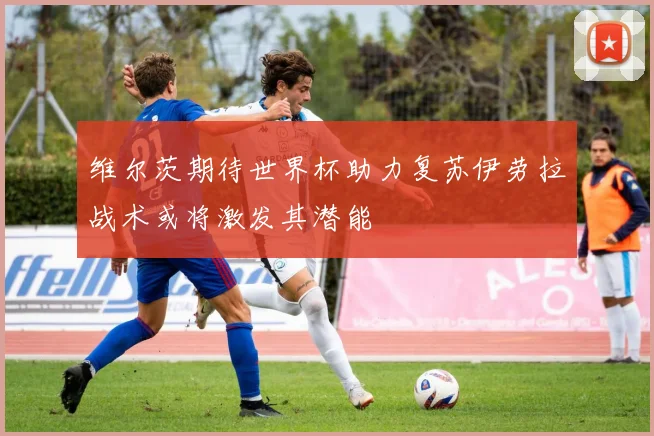 维尔茨期待世界杯助力复苏伊劳拉战术或将激发其潜能